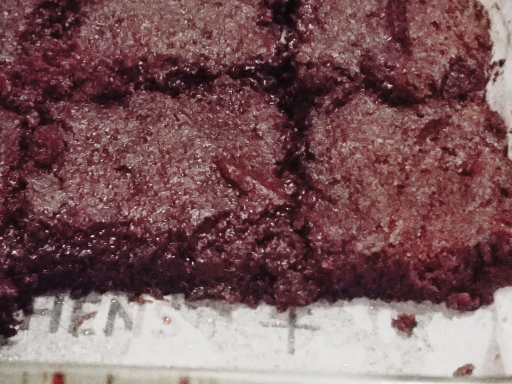 Fudge Overload Brownies