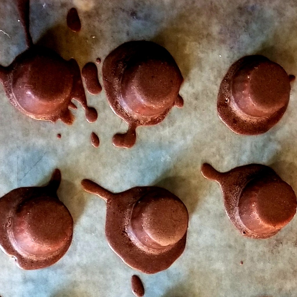 Chocolate Covered Peanutbutter Bites