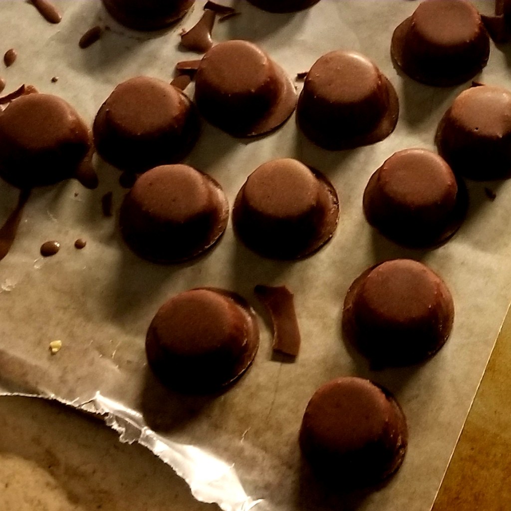 Chocolate Covered Peanutbutter Bites